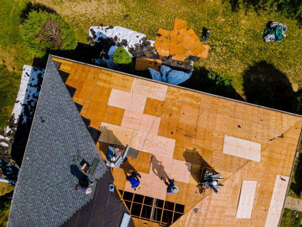 Best Shingle Roofing Installation  in Botkins, OH