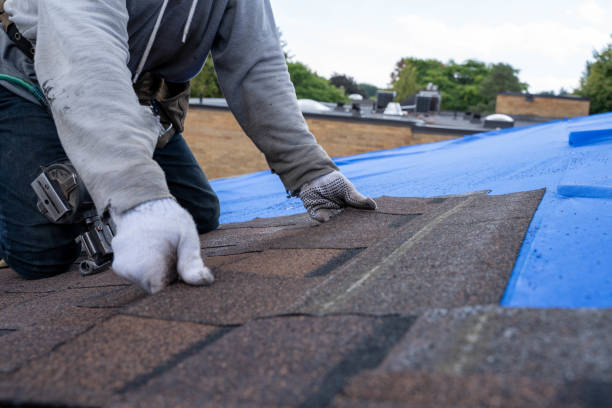 Best Residential Roof Replacement  in Botkins, OH