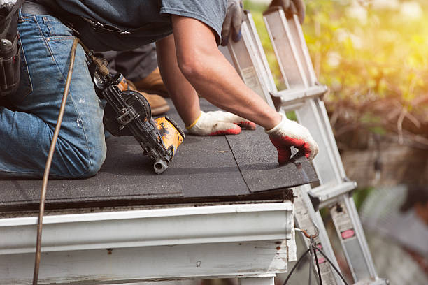 Best Metal Roofing Contractor  in Botkins, OH